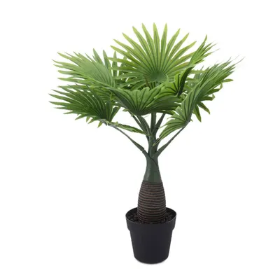 Obrázok produktu pre Umelá Rastlina Palma 10X10X45 Cm