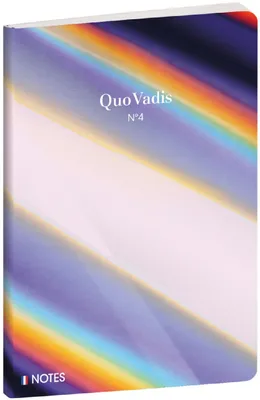 Image de Carnet Quo Vadis Iconique ligné multicolore 15 x 21 cm