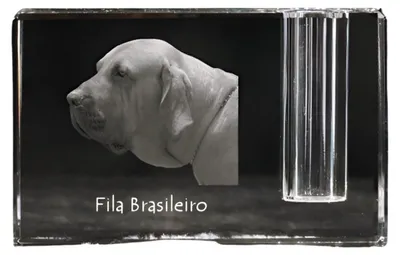 Immagine prodotto di Art-Dog Portapenna – Fila Brasileiro