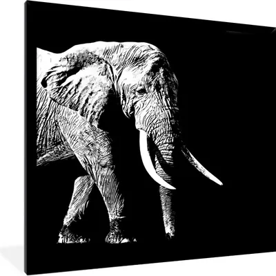 Produktbild von MuchoWow® Gerahmtes Poster Elefant - Tiere - Schwarz - Weiß 40x40 cm - Poster mit Schwarzem Bilderrahmen Wandposter Rahmen Foto Bilder - Mit Rahmen - Wanddekoration Schlafzimmer