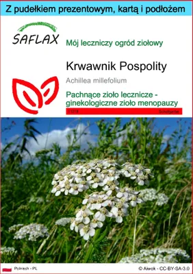 Zdjęcie produktu dla SAFLAX - Zestaw prezentowy - Krwawnik Pospolity - 200 Nasiona - Z pudełkiem upominkowym, etykietą wysyłkową, kartą podarunkową i podłożem uprawowym - Achillea millefolium
