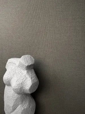Produktbild von NEWROOM Tapete Braun Vliestapete Unifarbe - Edle Farben Uni Grau Anthrazit Struktur Textil Unitapete Strukturtapete