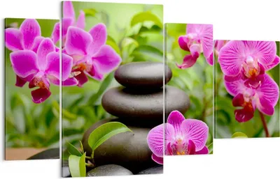 Produktbild von Bild auf Leinwand - Leinwandbild - Blumen Steine Bambus Dekoration - 120x70cm - Wand Bild - Wanddeko - Leinwanddruck - Bilder - Kunstdruck - Leinwand bilder - Wandkunst - DL120x70-2687