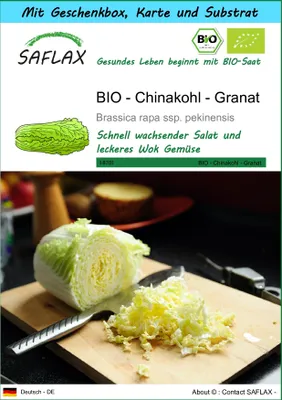 Produktbild von SAFLAX - Geschenk Set - BIO - Chinakohl - Granat - 40 Samen - Mit Geschenk- / Versandbox, Versandaufkleber, Geschenkkarte und Anzuchtsubstrat - Brassica rapa