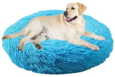 Immagine prodotto di Cuccia per cani, cuccia per gatti, forma a ciambella, rotonda, diametro 50 cm, blu, lavabile, morbida e pelosa