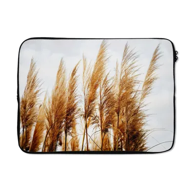 Produktbild von MuchoWow® Laptop Hülle 14 ZollPampasgras - Sonne - Gras Laptoptasche - Laptoptasche - Stoßsicher - Schutzhaube