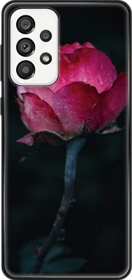 Produktbild von König Design Hülle kompatibel mit Samsung Galaxy A73 5G Kunststoff Soft Handyhülle - Handy Case Rose