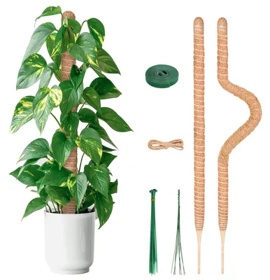 Produktbild von 80 cm biegsamer Moosstab für Pflanzen, Set mit 2 Stück