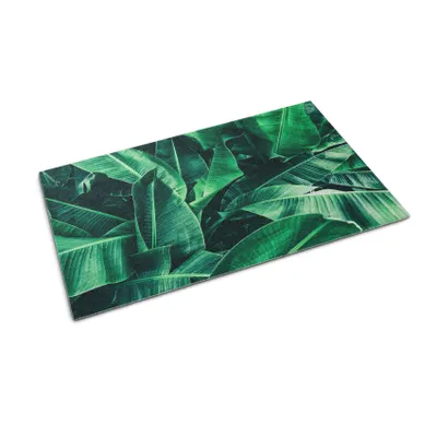 Obrázok produktu pre Rohožka na dvere - Rohož na zachytávanie nečistôt - Nekĺzavá vnútorná vonkajšia rohož - 60x40 cm - Rastliny Listy