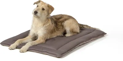 Produktbild von gepolsterte Wendedecke 90 x 70 cm, hellgrau/dunkelgrau bei 95°C waschbar für Hunde