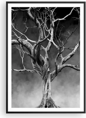 Produktbild von Gerahmtes Poster - Schwarzer Rahmen - Schwarzweiß Äste Rauch - 70x100 cm - Wand Bild - Wanddeko - Wandbilder - Wandposter - Bilderrahmen - Bilder - Kunstdruck - Wandbild - P2BPA70x100-4346