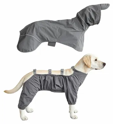 Produktbild von INF Abnehmbarer wasserdichter Hunderegenmantel aus Polyester Größe S-XL S