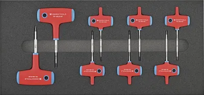 Produktbild von Swiss Tools Werkzeugmodul 2/3 T-Griff TX