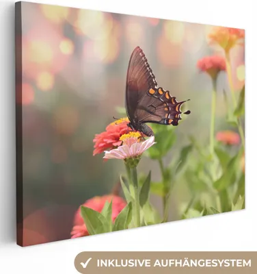 Produktbild von MuchoWow® - Leinwandbilder - Blumen - Schmetterling - Natur - Blume, Wandbild, Wanddeko Bilder Wohnzimmer, 120x90cm