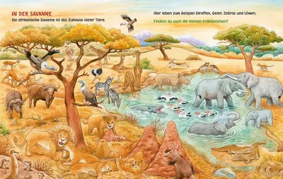 Produktbild von Unkaputtbar: Mein erstes Wimmelbuch: Unsere Tiere