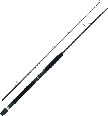 Produktbild von WFT Go North II 50lbs 2,10m 400-1000g