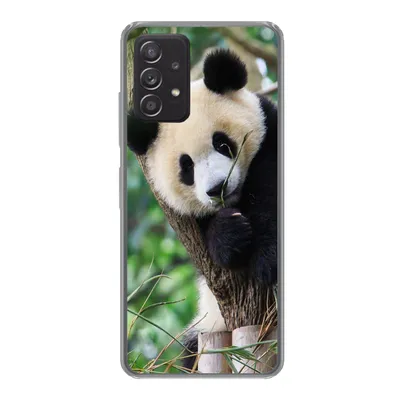 Produktbild von MuchoWow® Handyhülle Schutzhülle Hülle für Samsung Galaxy A33 5G Panda - Tiere - Dschungel - Natur Silikon Softcase Handy Hülle - Kartenhalter