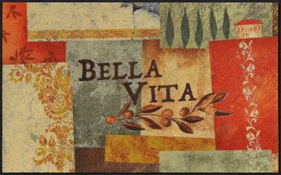 Produktbild von Salonloewe BELLA VITA Fußmatte Wohnmatte 75 x 120 cm