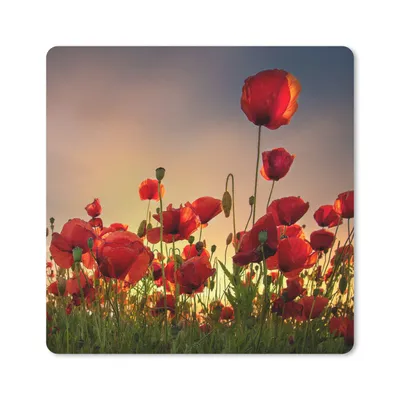 Produktbild von MuchoWow® Mauspad Mousepad Bunter Himmel über einem Mohnblumenfeld in Dänemark 20x20 cm - Mousepads - Maus Mat - Pad - Mausunterlage - Desk Mat - Bureauartikeln