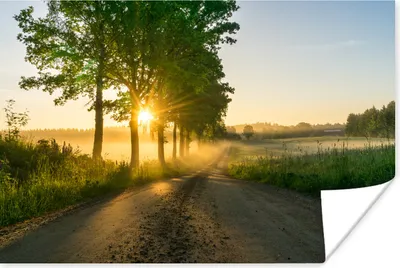 Produktbild von MuchoWow® Poster Sonnenaufgang durch die Bäume 30x20 cm - Plakate - Print