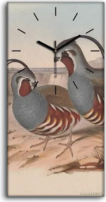Produktbild von Wanduhr Uhr Wandbild Leinwand Geräuschlos 30x60 Vögel Wild Tiere Zeichnung Kunst - schwarze Hände