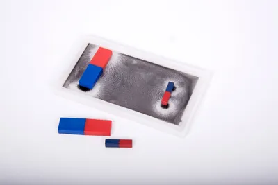 Obrázok produktu pre Shaw Magnets 50143, 3 rok / roky, Viacfarebný
