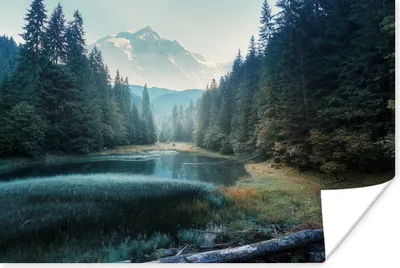 Produktbild von MuchoWow® Poster Wald - Gras - Berge - Bäume - Natur 30x20 cm - Plakate - Print
