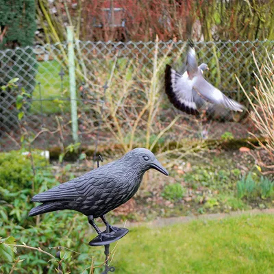 Image de Gardigo : Dissuasif anti-pigeons en forme de corbeau, 1 pièce.