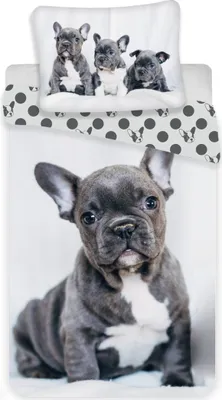 Produktbild von Jerry Fabrics Leinenfoto: Bulldogge 140x200, 70x90 cm