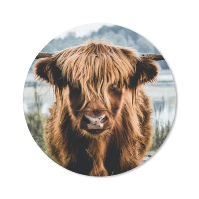 Produktbild von MuchoWow® Mauspad Mousepad Kühe - Schottische Hochlandbewohner - Braun - Natur 20x20 cm - Mousepads - Maus Mat - Pad - Mausunterlage - Schreibtischmatte