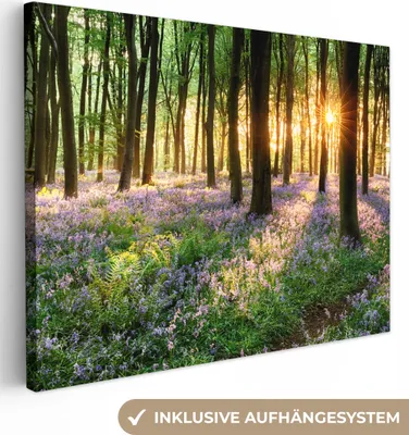 Produktbild von MuchoWow® - Leinwandbilder - Wald - Blumen - Lavendel - Sonne - Lila - Natur, Wandbild, Wanddeko Bilder Wohnzimmer, 40x30cm