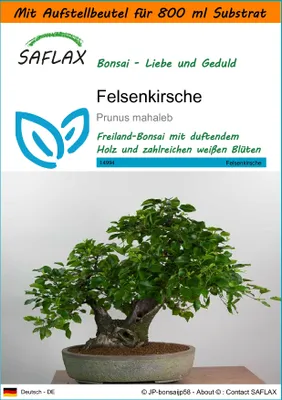 Produktbild von SAFLAX - Garden in the Bag - Bonsai - Felsenkirsche - 30 Samen - Mit Anzuchtsubstrat im praktischen, selbst aufstellenden Beutel - Prunus mahaleb