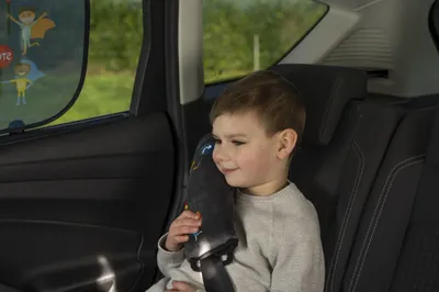 Image de Kfz KIDS Gurtkissen grau Cartrend