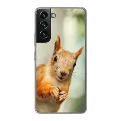 Produktbild von MuchoWow® Handyhülle Schutzhülle Hülle für Samsung Galaxy S22 Eichhörnchen - Lustig - Nuss - Kinder - Jungen - Mädchen - Kind Silikon Softcase Handy Hülle - Mobiltelefonhülle