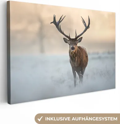Obrázok produktu pre MuchoWow® - Plátno - Jelen - Príroda - Zima, nástenná maľba, nástenné dekorácie obrazy obývacia izba, 120x80cm