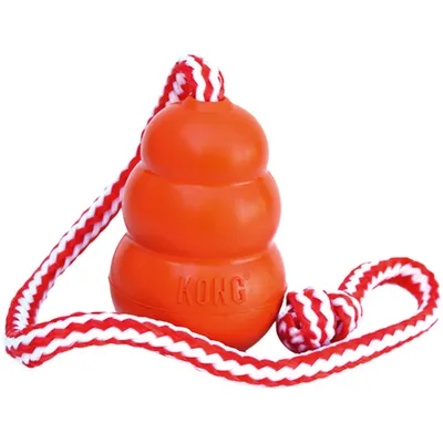 Produktbild von Kong Aqua Oranje