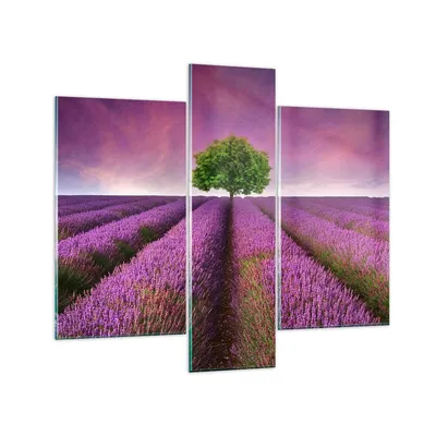Produktbild von Bilder auf glas - Wiese lavenda Sommer Landschaft - 95x80cm - Glasbilder - Wandbilder - Kunstdruck - zum Aufhängen bereit - Wanddekoration aus Glas - Glas Bilder - Wandbild auf Glas - GCB95x80-2605