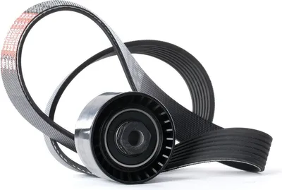 Produktbild von RIDEX 542R0503 Keilrippenriemensatz für RENAULT Clio III Schrägheck (BR0/1, CR0/1)