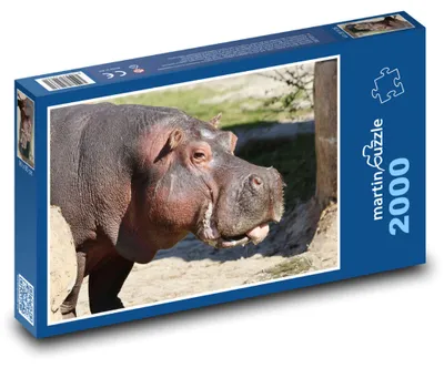 Zdjęcie produktu dla martinpuzzle - Puzzle 2000 - Słoń
