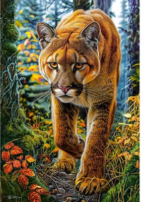 Produktbild von Castorland Puzzle Mountain Lion Wald - 1500 Teile Puzzle