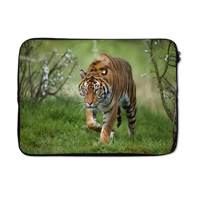 Produktbild von MuchoWow® Laptop Hülle 14 ZollNahaufnahme eines Sumatra-Tigers Laptoptasche - Laptoptasche - Stoßsicher - Schutzhaube