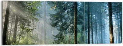 Produktbild von Bild auf Leinwand - Leinwandbild - 3 Teile - Wald Dämmerung die Sonne - 150x50cm - Wand Bild - Wanddeko - Wandbilder - Leinwanddruck - Bilder - Wanddekoration - Leinwand bilder - CA150x50-4398
