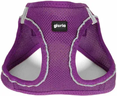 Zdjęcie produktu dla Gloria Air Mesh Trek Star Hundegeschirr L L
