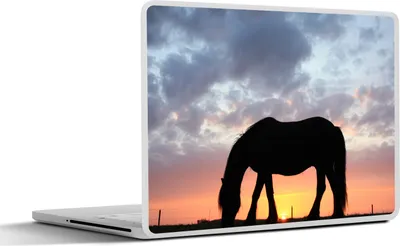 Produktbild von MuchoWow® Laptop Aufkleber Sticker Cover Pferde - Sonne - Wiese 25x18 cm - Laptop-Deko