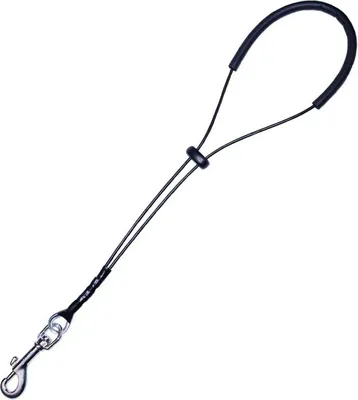 Immagine prodotto di Pettorina Gloria cane gatto parrucchiere 45 cm PVC