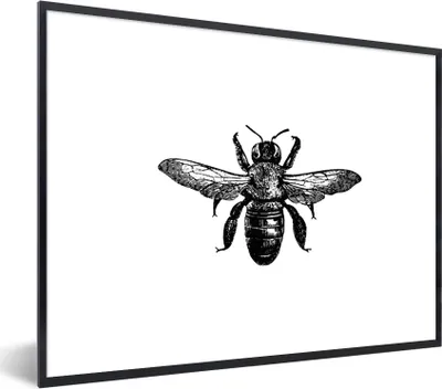 Produktbild von MuchoWow® Gerahmtes Poster Biene - Insekt - Vintage - Schwarz und weiß 40x30 cm - Poster mit Schwarzem Bilderrahmen Wandposter Rahmen Foto Bilder - Kunstposter - Wanddekorationen