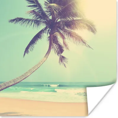 Produktbild von MuchoWow® Poster Retro - Palme - Sonne - Sommer 50x50 cm - Wohnzimmerdekoration