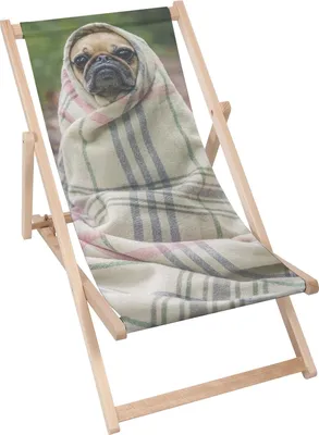 A pug wrapped in a blanket sitting on a deck chair.