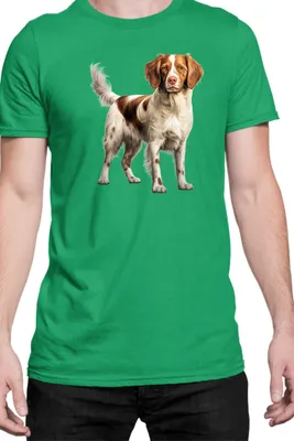 Immagine prodotto di Maglietta da uomo Dogs Breeds Brittany Dog Breed 007, Man S , Vert