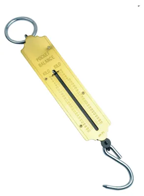 Produktbild von BRÜDER MANNESMANN M 813-100 Taschenfederwaage 100 kg